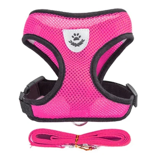 Summer small dog pet chest and back breathable dog chest and back suit cat outdoor traction rope child collar