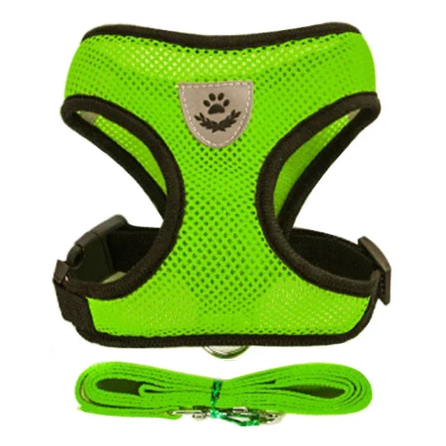 Summer small dog pet chest and back breathable dog chest and back suit cat outdoor traction rope child collar