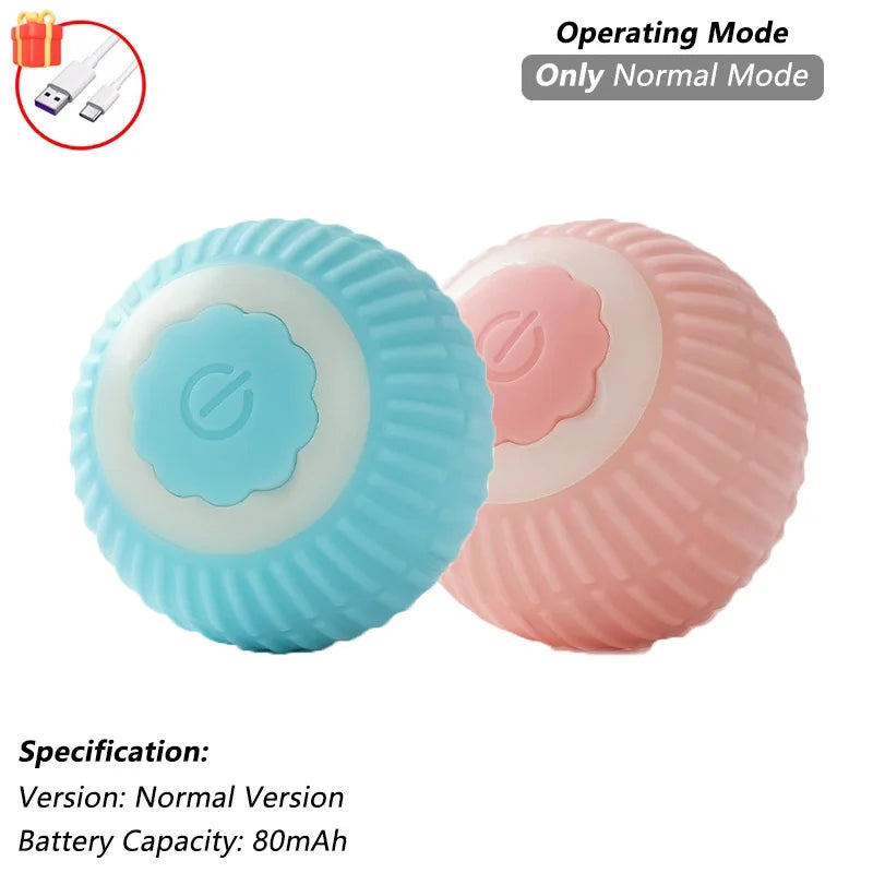 Interactive Ball Toy