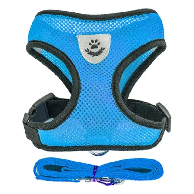 Summer small dog pet chest and back breathable dog chest and back suit cat outdoor traction rope child collar