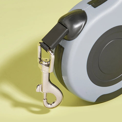 Automatically Retractable Leash