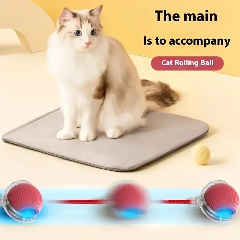 Interactive Ball Toy