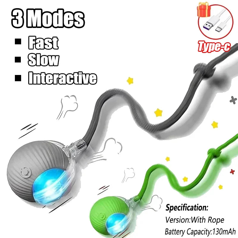 Interactive Ball Toy