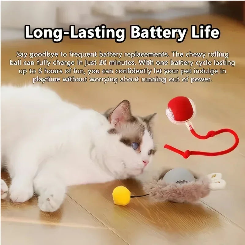 Interactive Ball Toy