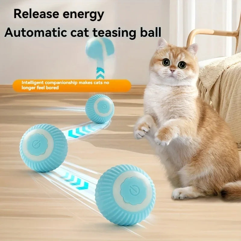 Interactive Ball Toy