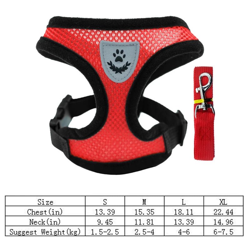 Summer small dog pet chest and back breathable dog chest and back suit cat outdoor traction rope child collar