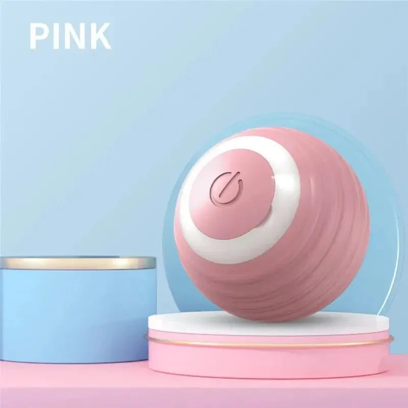 Interactive Ball Toy