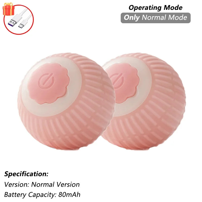 Interactive Ball Toy