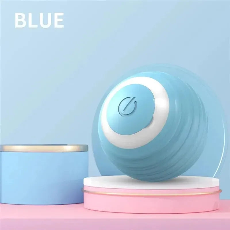 Interactive Ball Toy