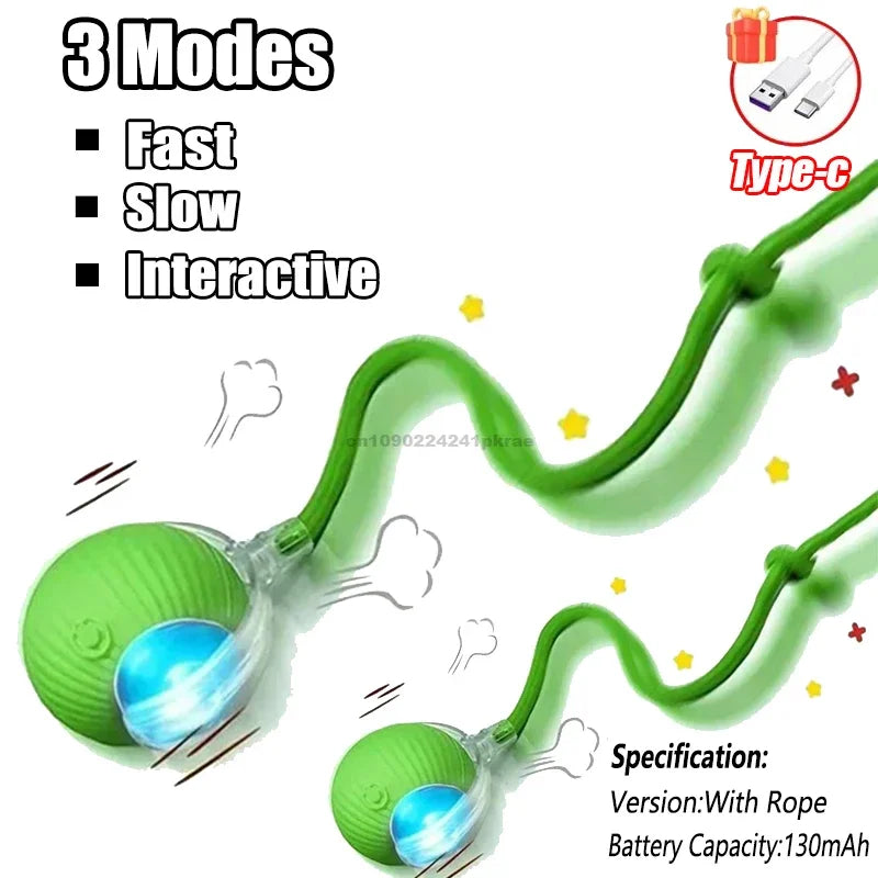 Interactive Ball Toy