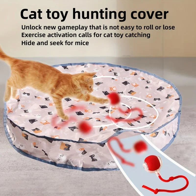 Interactive Ball Toy
