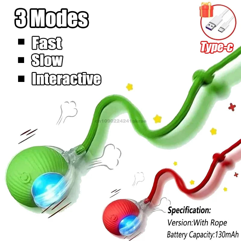 Interactive Ball Toy