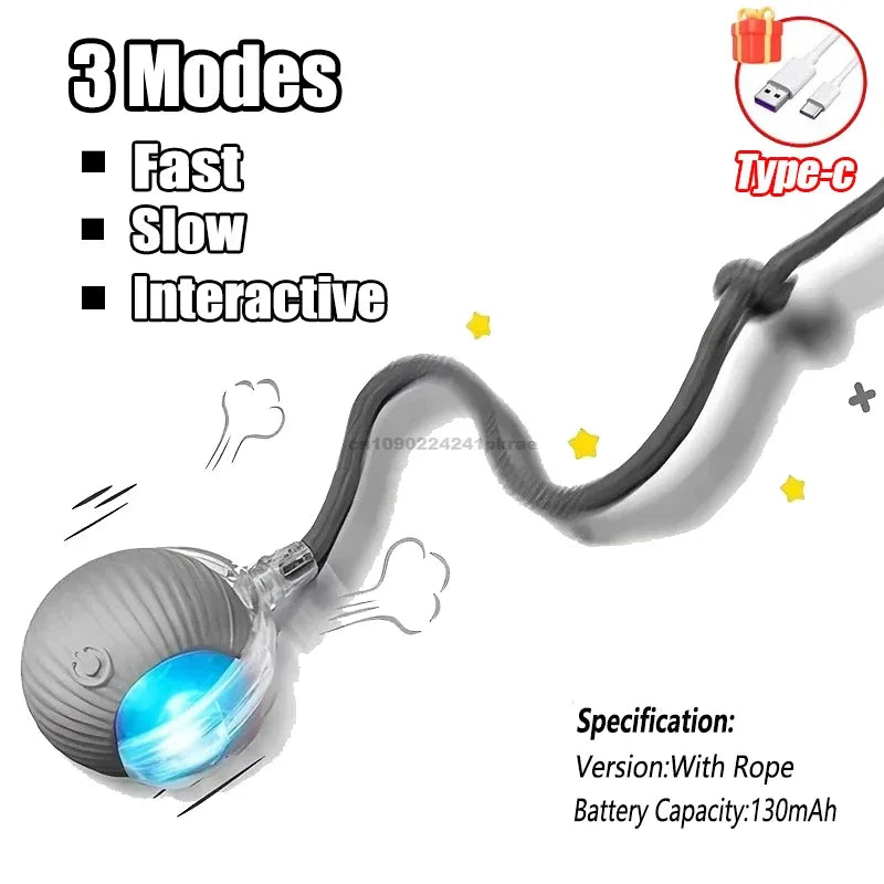 Interactive Ball Toy
