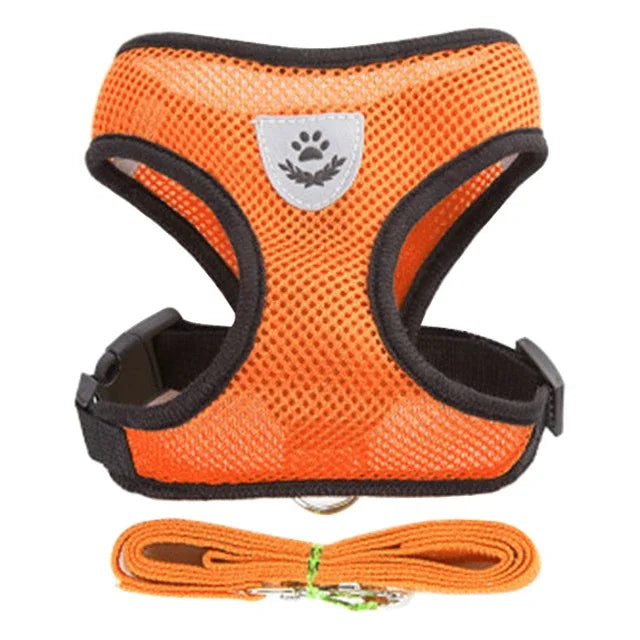 Summer small dog pet chest and back breathable dog chest and back suit cat outdoor traction rope child collar