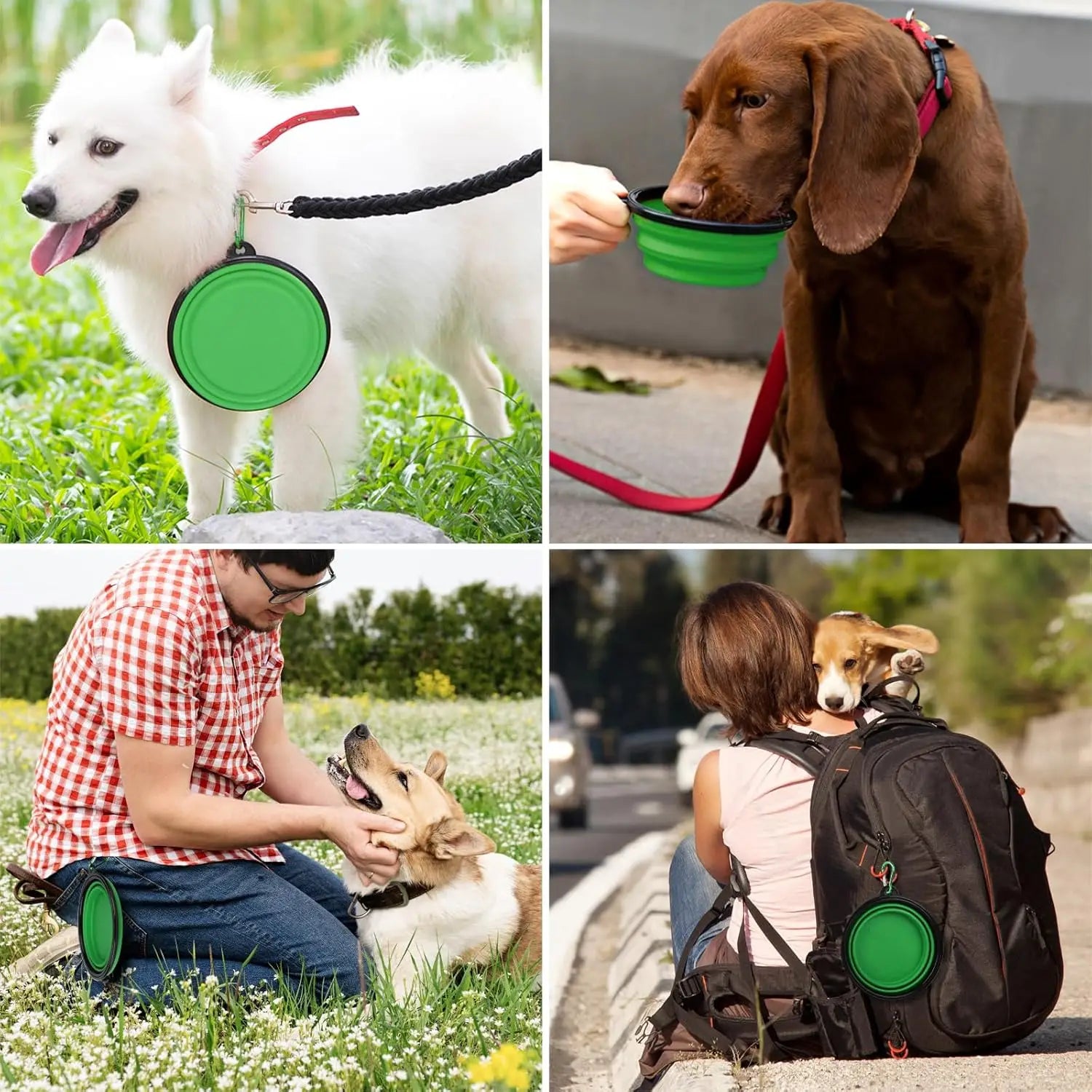 TPR Foldable Dog Bowl | Collapsible Pet Food Water Dish | Flexible, BPA-Free & Portable for Travel