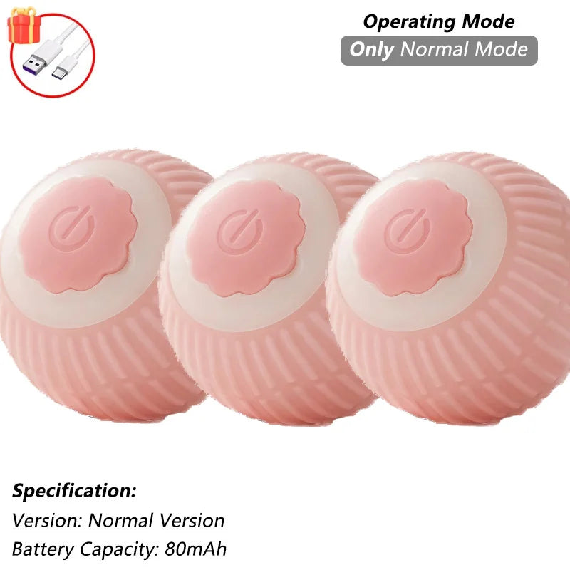 Interactive Ball Toy