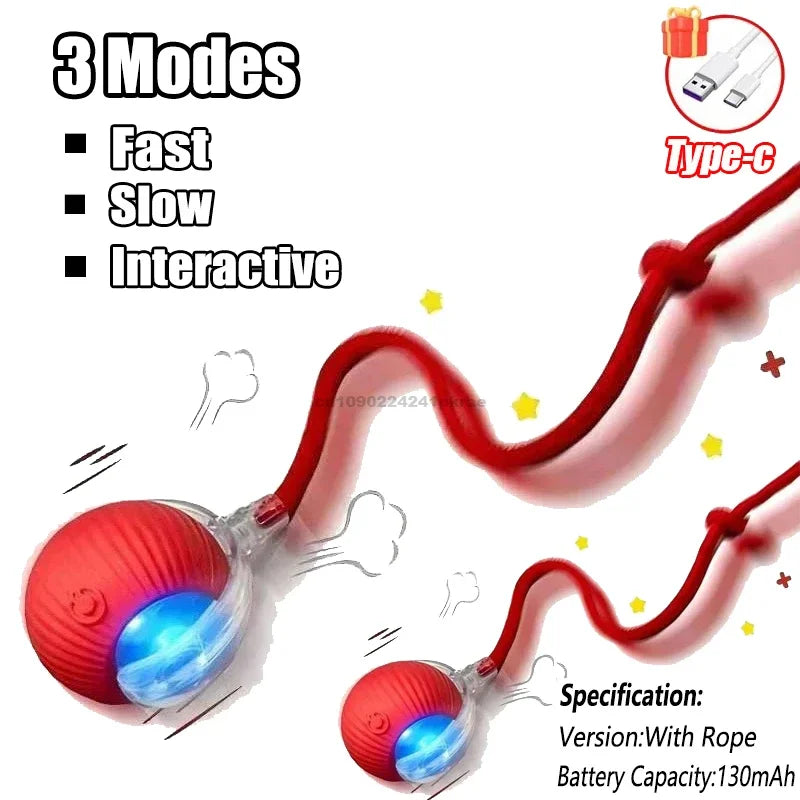Interactive Ball Toy