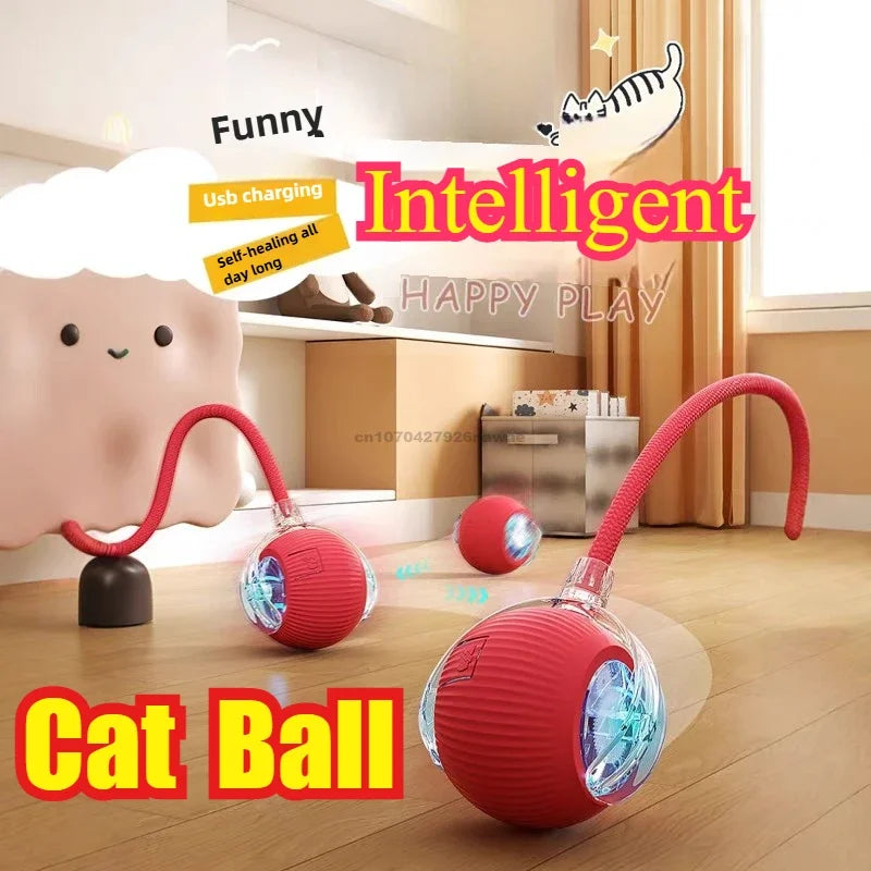 Interactive Ball Toy