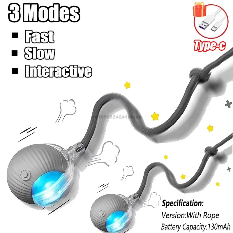 Interactive Ball Toy