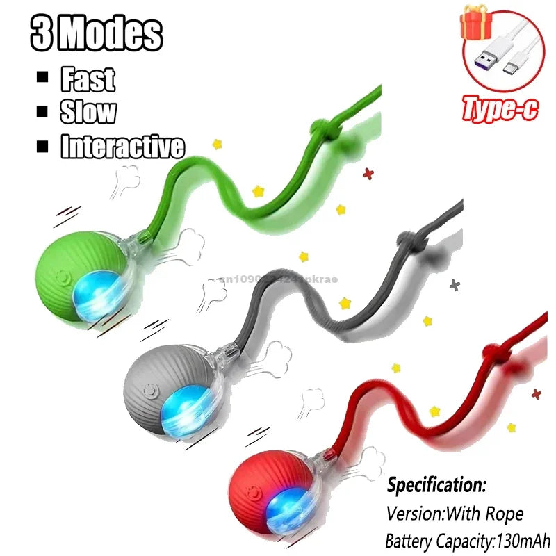 Interactive Ball Toy