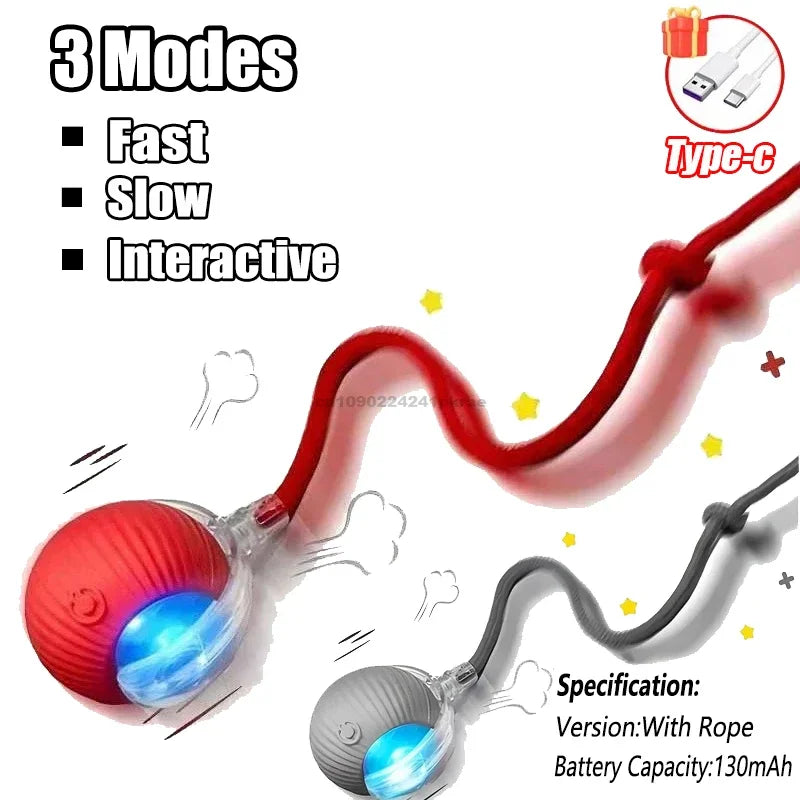 Interactive Ball Toy